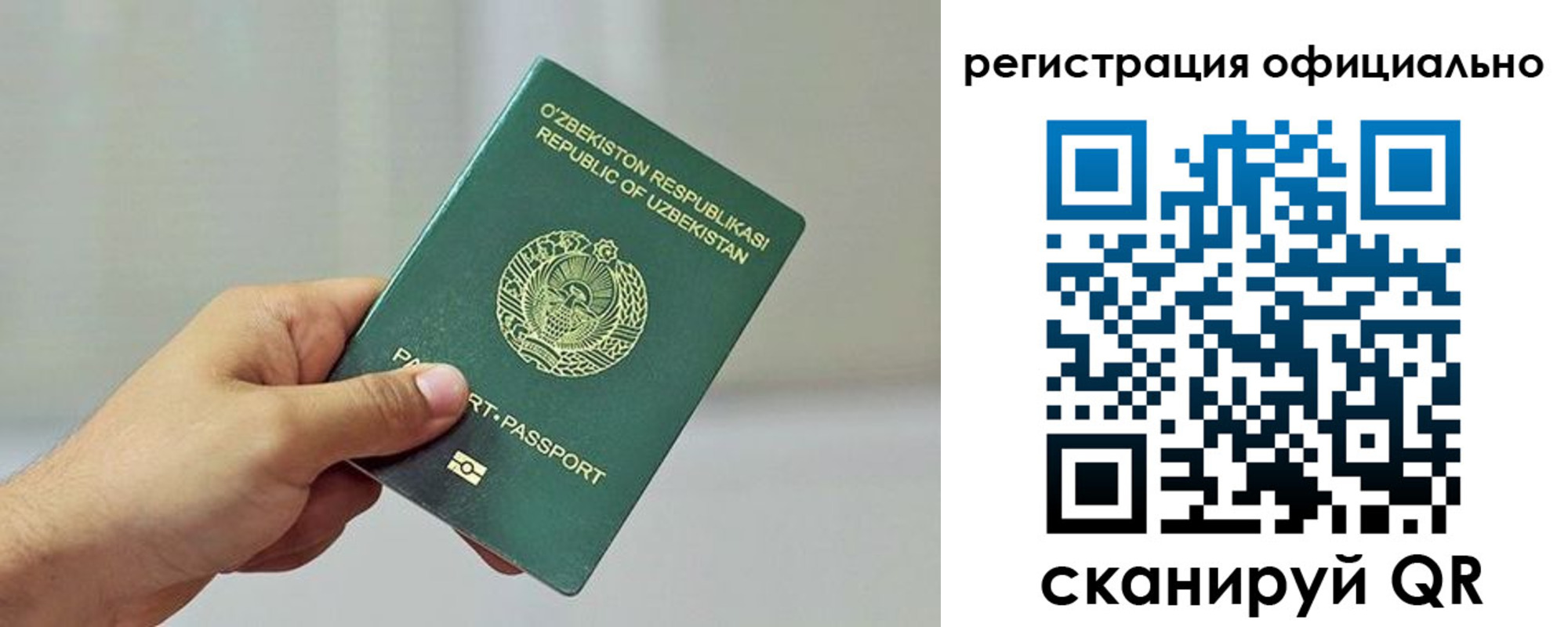 прописка в квартире в Кольчугино