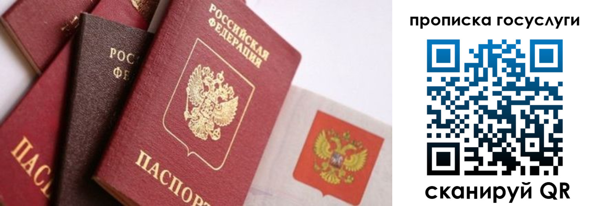 прописка законно в Кольчугино